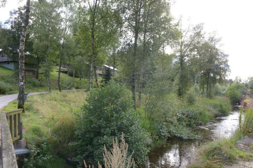 Chalet Rocherath Bullange Exteriör bild