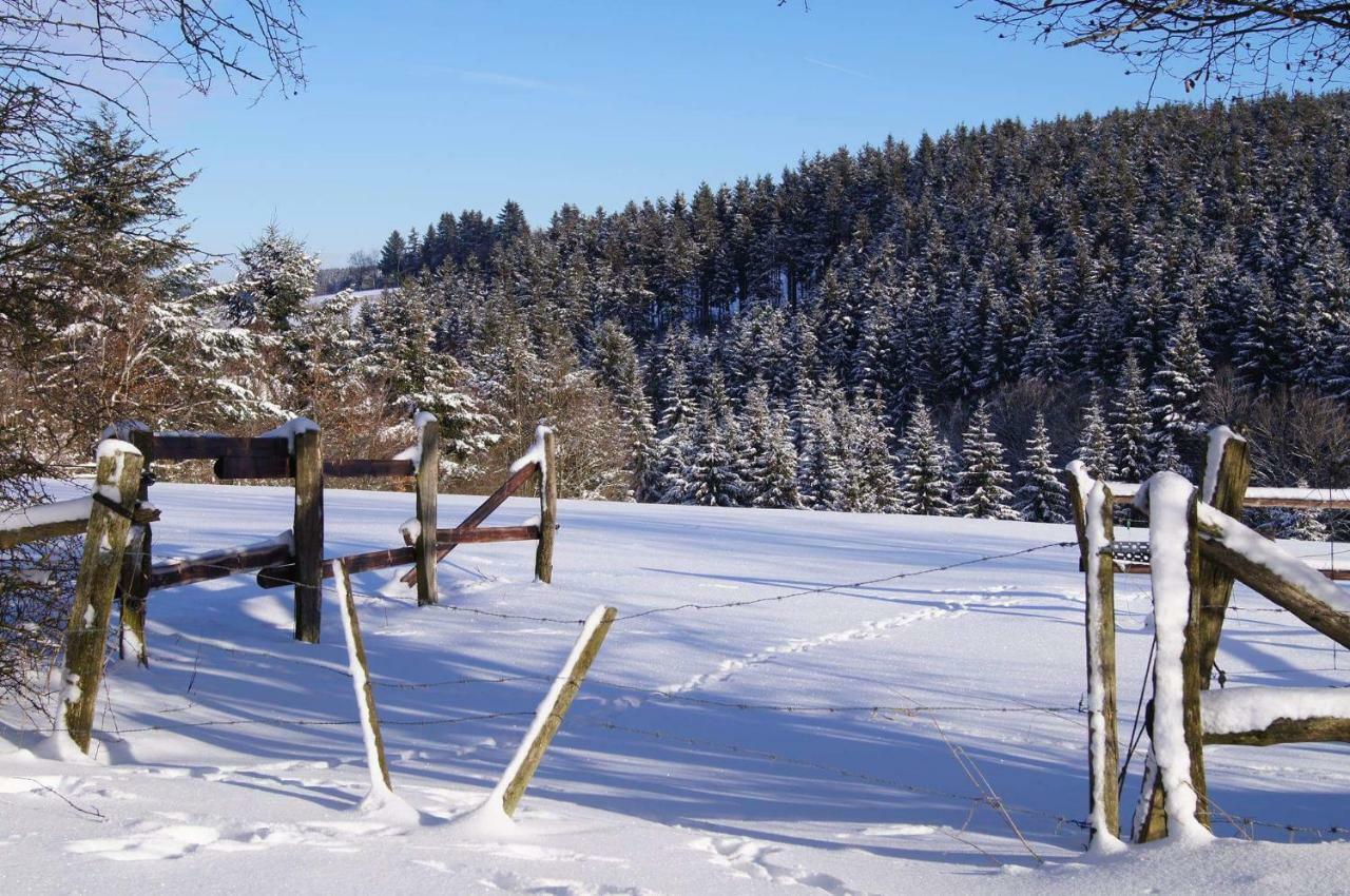 Chalet Rocherath Bullange Exteriör bild